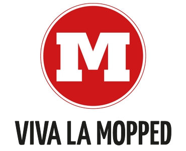 VLM Logo
